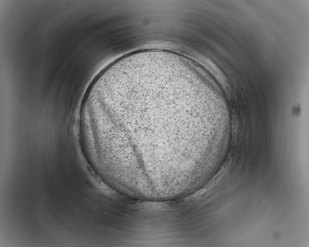 X0000102821044200809151011