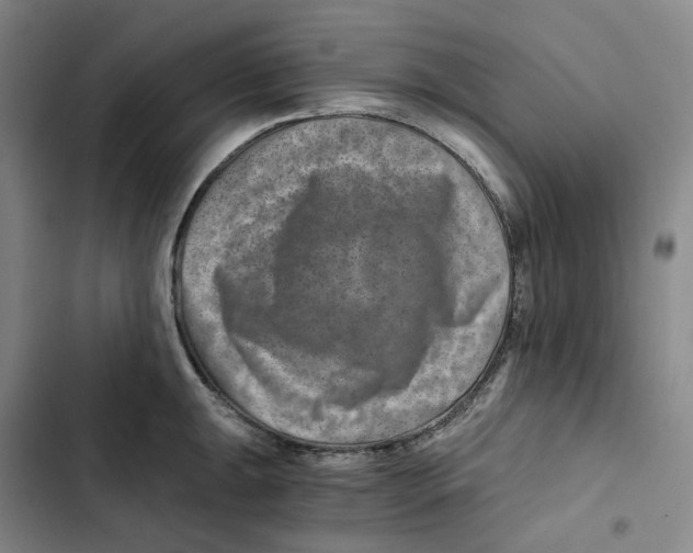 X0000102821047200809151011