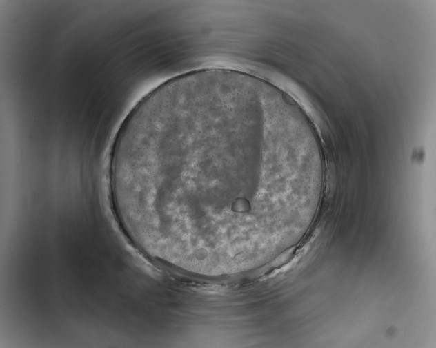 X0000102821048200809151011