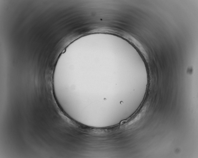 X0000102821049200809151011