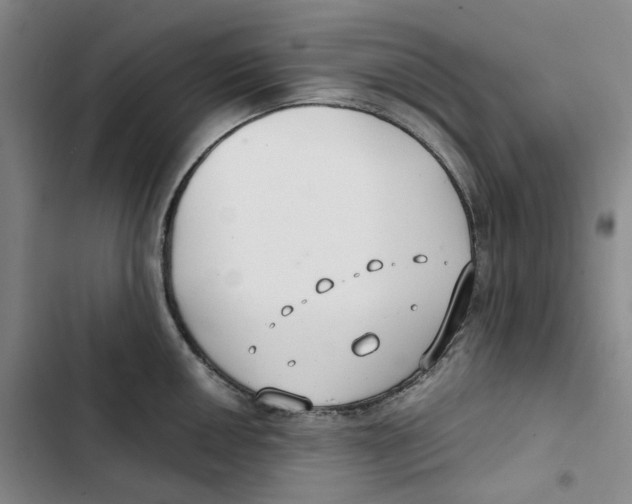 X0000102821050200809151011