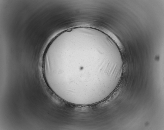 X0000102821051200809151011