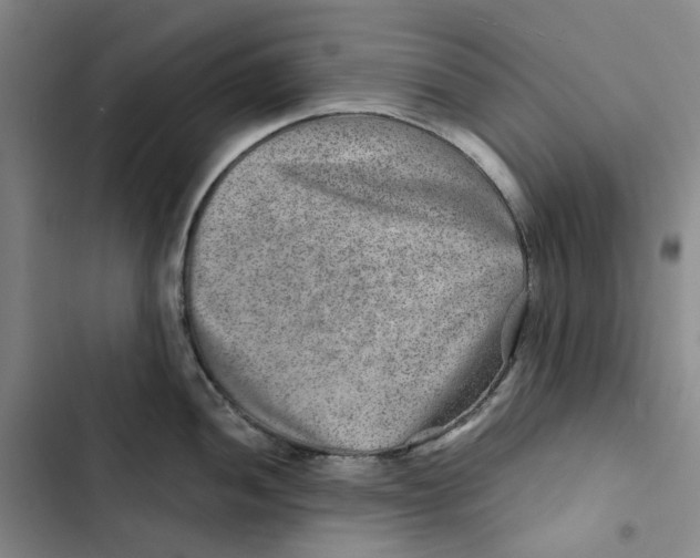 X0000102821052200809151011