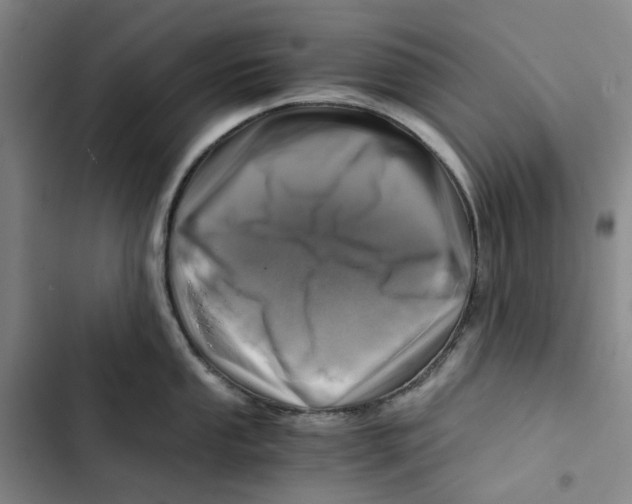 X0000102821053200809151011