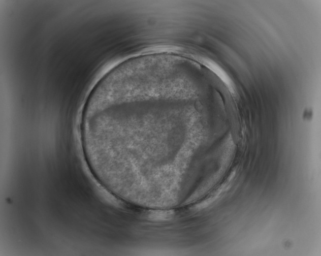 X0000102821055200809151011