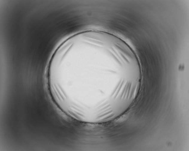 X0000102821056200809151011