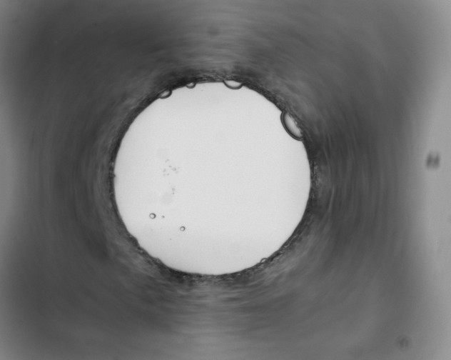 X0000102821057200809151010