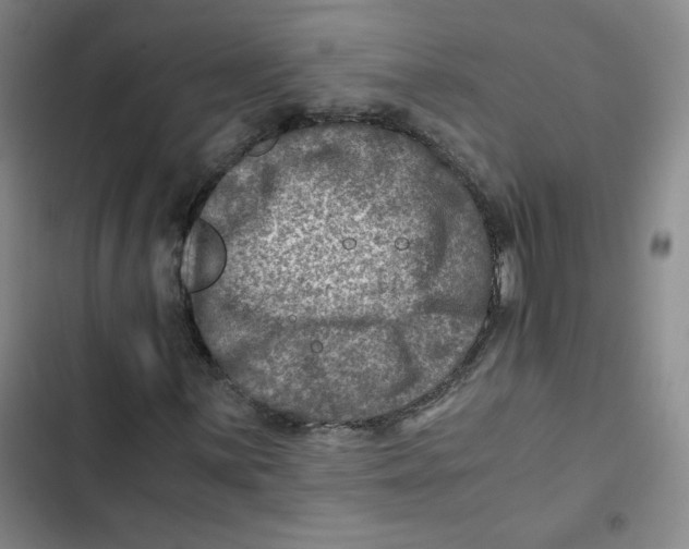 X0000102821059200809151010