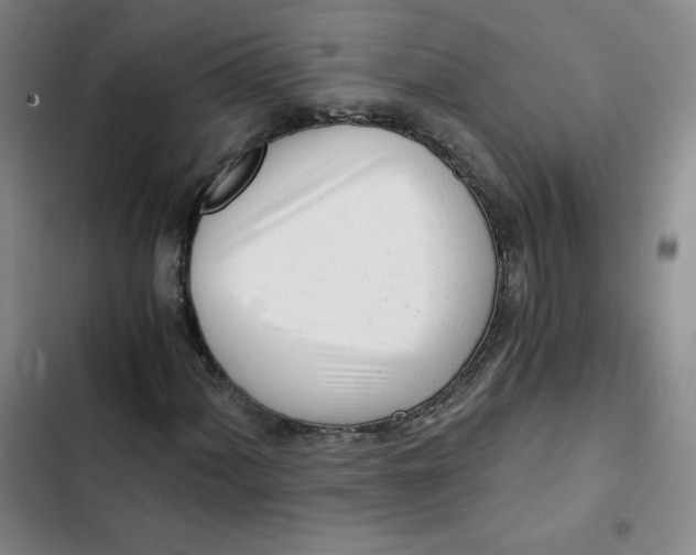 X0000102821060200809151010