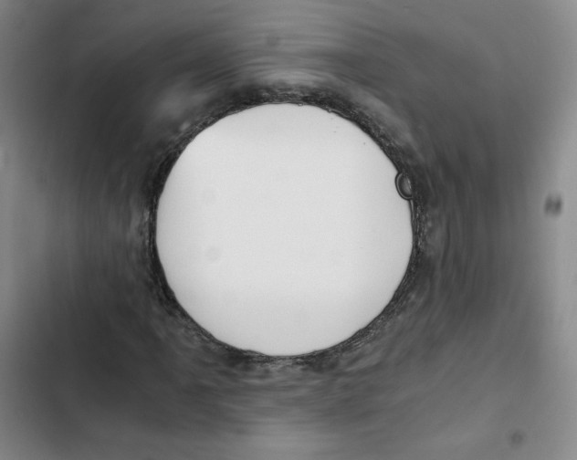 X0000102821061200809151010