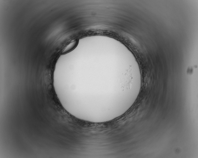 X0000102821062200809151010