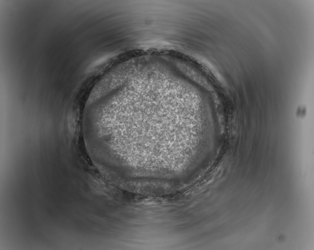 X0000102821063200809151010