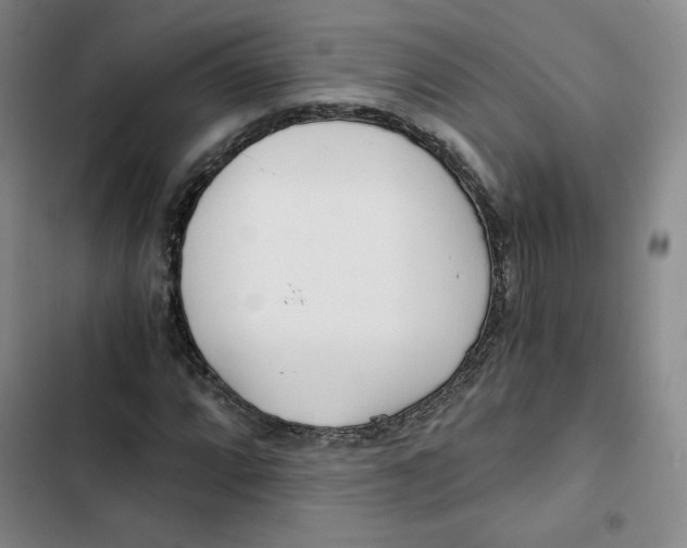 X0000102821064200809151010