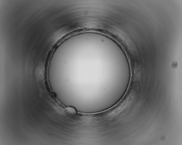 X0000102821065200809151010