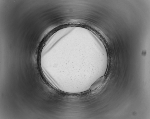 X0000102821066200809151010