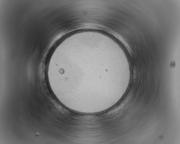 X0000102821067200809151010