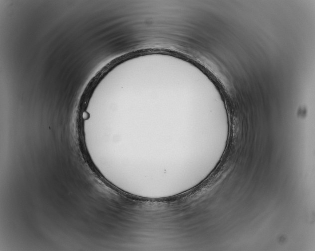 X0000102821068200809151010