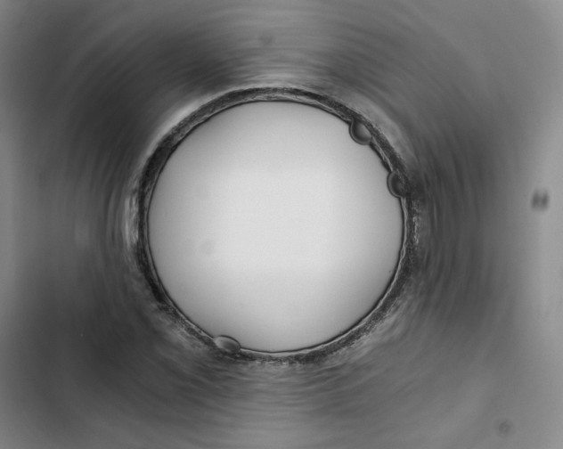 X0000102821069200809151010