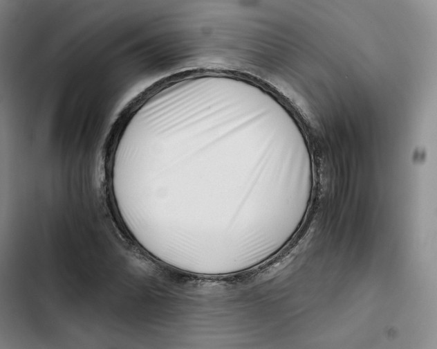 X0000102821070200809151010