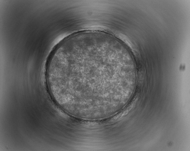 X0000102821071200809151010