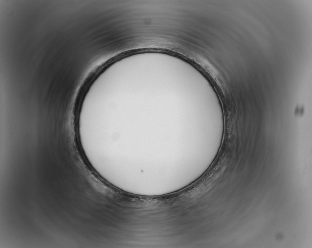 X0000102821072200809151010