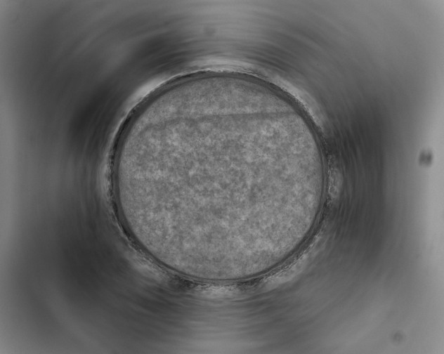 X0000102821074200809151010