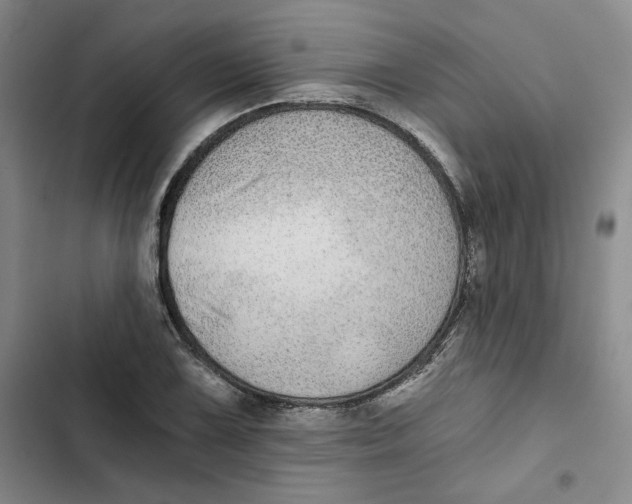 X0000102821075200809151010
