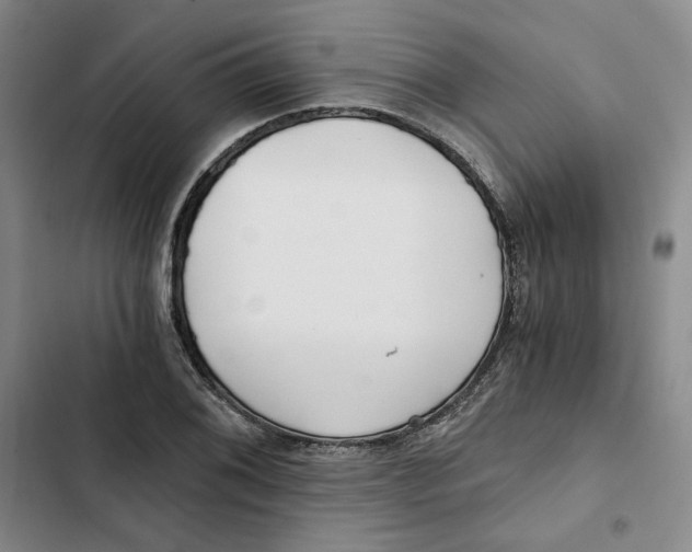 X0000102821076200809151010