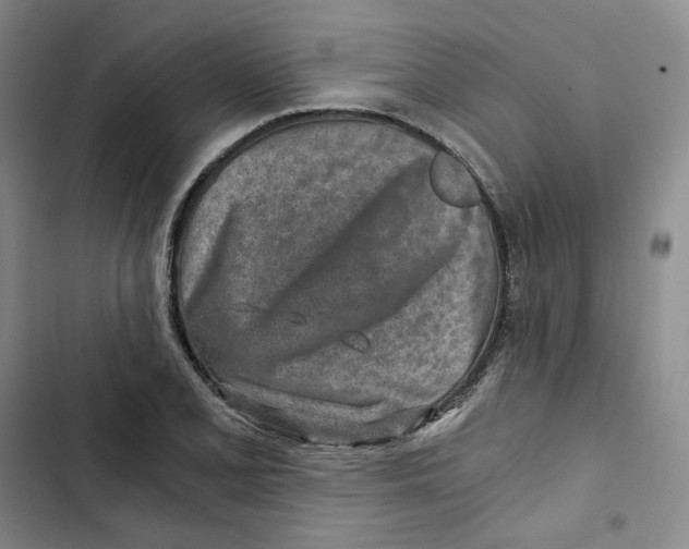 X0000102821077200809151010