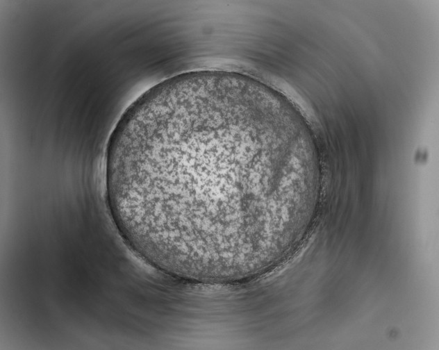 X0000102821079200809151010