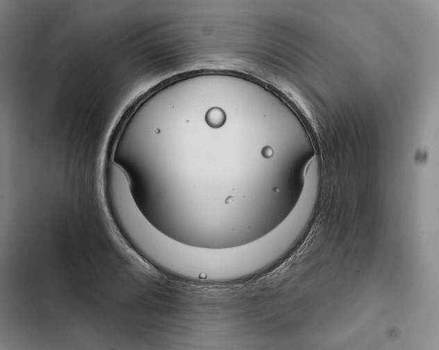 X0000102821080200809151010
