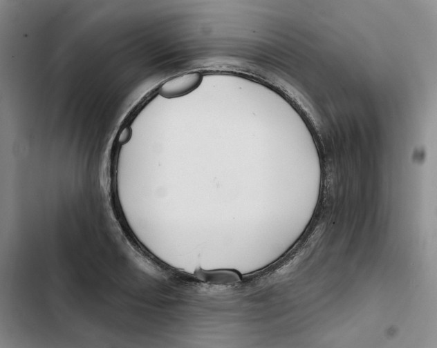 X0000102821082200809151010