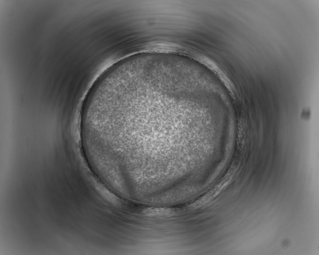X0000102821083200809151010