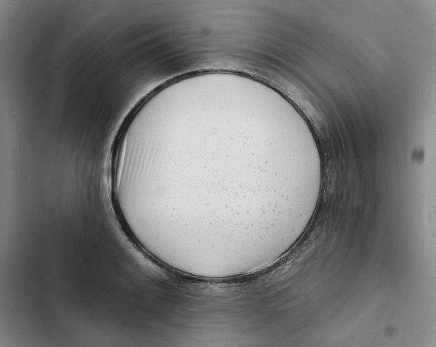 X0000102821084200809151010