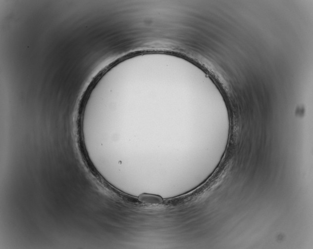 X0000102821085200809151010