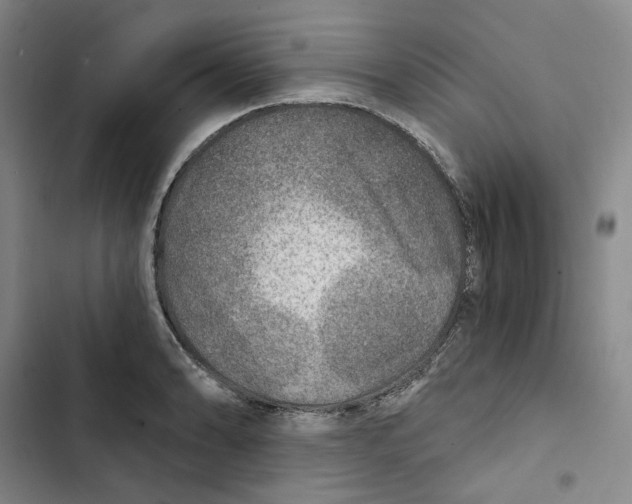 X0000102821086200809151010