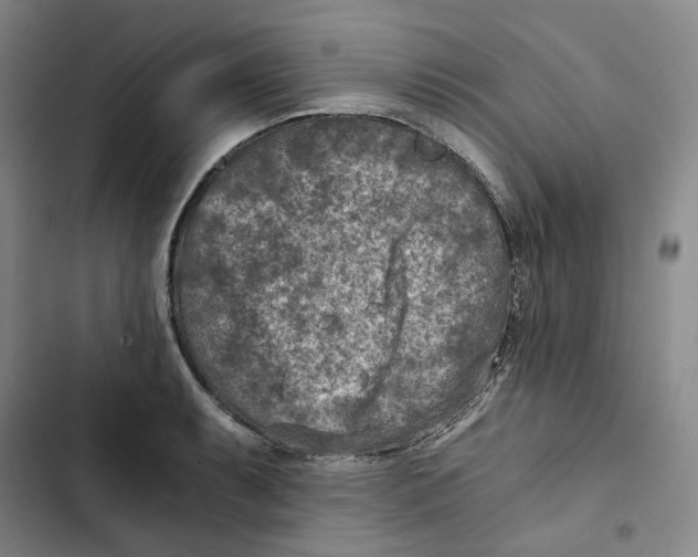 X0000102821087200809151010