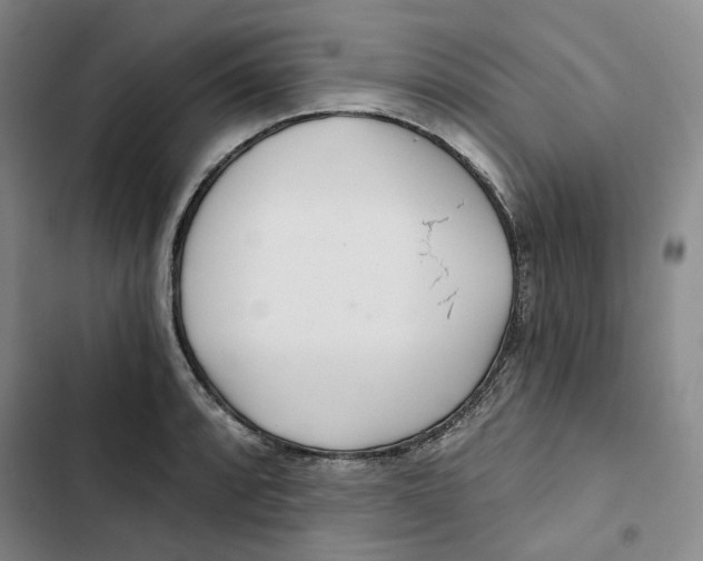 X0000102821088200809151010