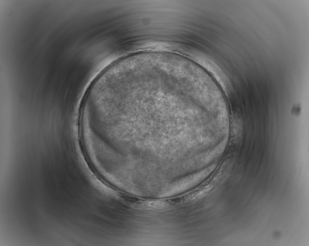 X0000102821090200809151009