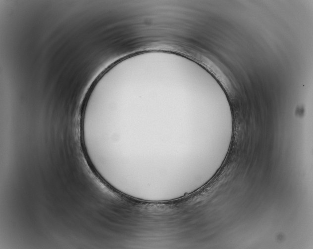 X0000102821092200809151009