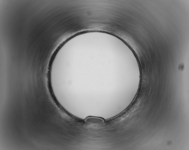 X0000102821093200809151009