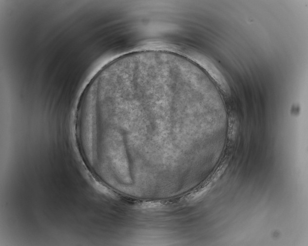 X0000102821094200809151009