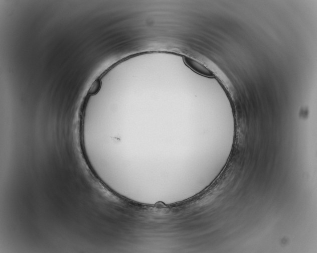 X0000102821096200809151009