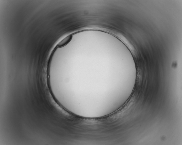 X0000102821100200809151009