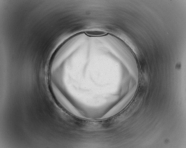 X0000102821101200809151009