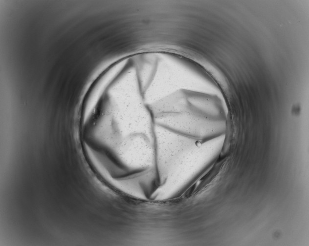 X0000102821102200809151009