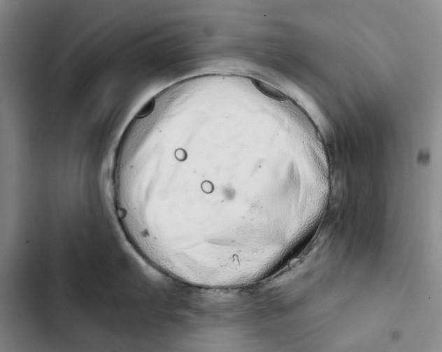 X0000102821103200809151009