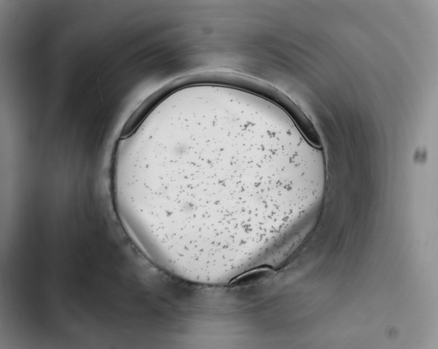 X0000102821104200809151009