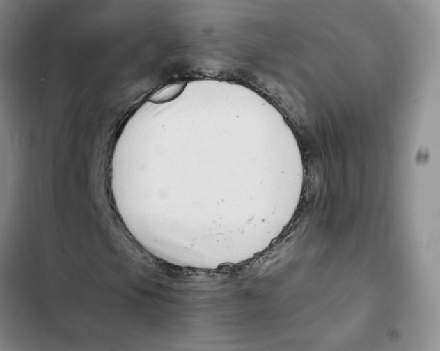 X0000102821105200809151008