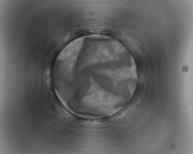 X0000102821106200809151008